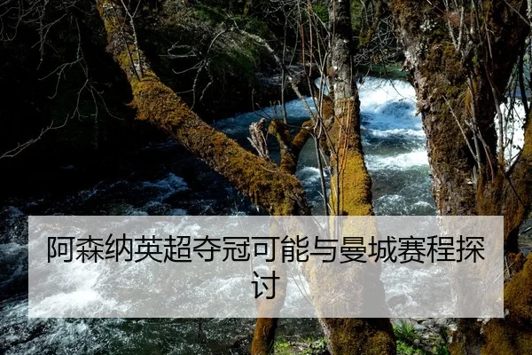阿森纳英超夺冠可能与曼城赛程探讨
