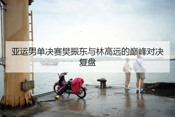 亚运男单决赛樊振东与林高远的巅峰对决复盘
